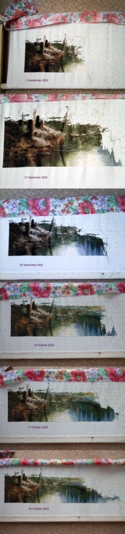 Merged image 4.webp