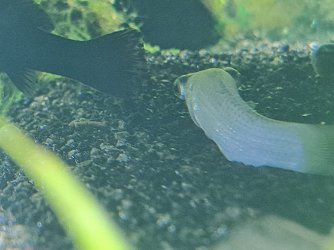 20221027_160008.jpg