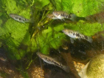 DSCF8801.webp