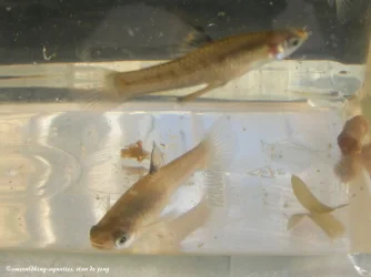 DSCF4587.webp