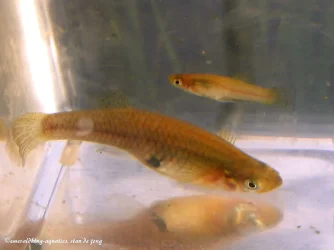 DSCF0479.webp