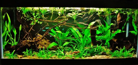 40g Aug 16-16.webp