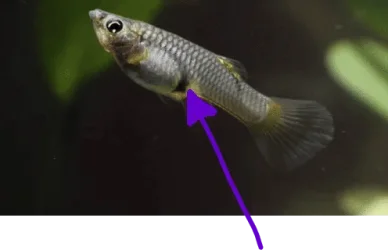 Screenshot 2022-10-31 160057.webp