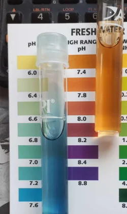 Sample 3 - High & Low Range.webp