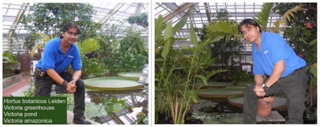 victoria greenhouse.jpg victoria greenhouse.jpg