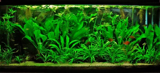 115g Aug 23-13.webp