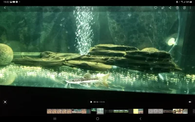 Screenshot_20221124-150248_Gallery.webp