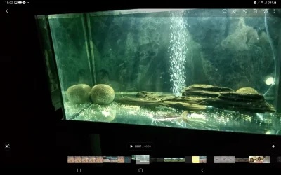 Screenshot_20221124-150233_Gallery.webp