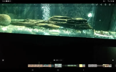 Screenshot_20221124-150211_Gallery.webp