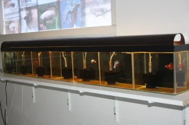 Open dagen Ed's Fishbook June 28th 2019 049.jpg Open dagen Ed's Fishbook June 28th 2019 049.jpg