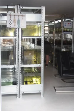 Open dagen Ed's Fishbook June 28th 2019 051.jpg Open dagen Ed's Fishbook June 28th 2019 051.jpg