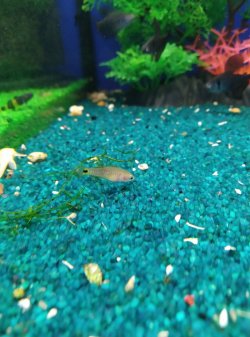 IMG_20221203_111425.jpg