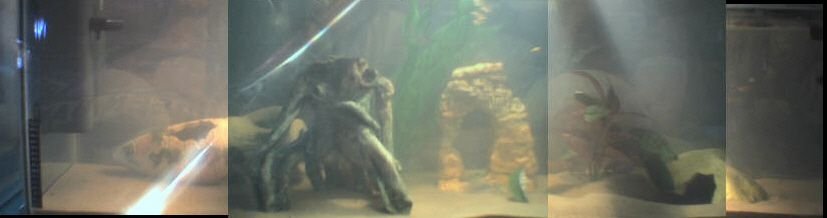 tank4ft.jpg