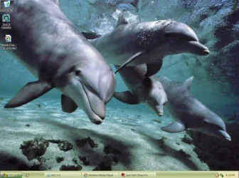 mybackground.webp