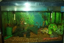120gal.JPG