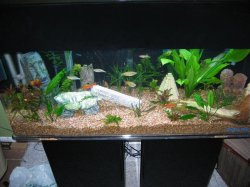 tank1.jpg