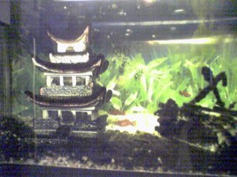 Picture001.jpg