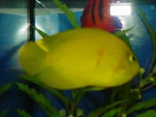 DSC01507.webp