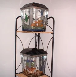 2tankstand.webp