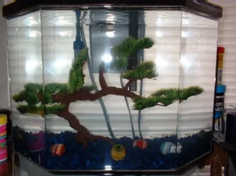 5bonsai.webp