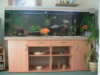 PICT0006.webp