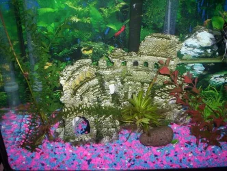 100_2627.webp