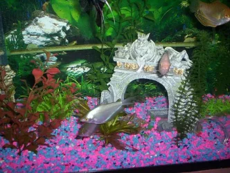 100_2628.webp