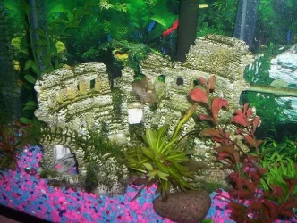 100_2626.webp