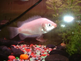 DSCF0140.webp