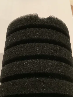IMG_3282 Sponge with a V cut - Copy.webp
