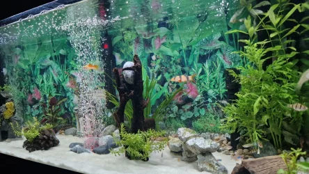 20221209_044923.webp