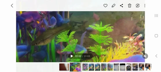 Screenshot_20221213_211026_Gallery.webp