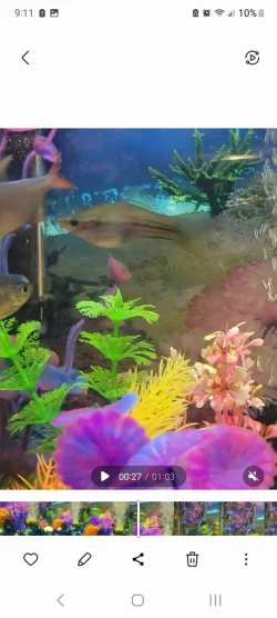 Screenshot_20221213_211134_Gallery.webp