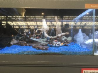 IMG_3162[1].JPG