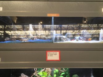 IMG_3163[1].JPG