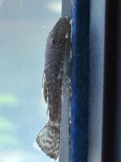 IMG_5107.jpg