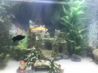 02DC6EED-CE73-4B02-B173-9419E023BA28.webp