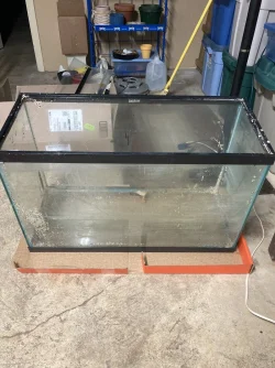 20 Gallon.webp