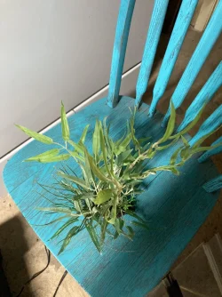Fake Plant 20 Gallon.webp