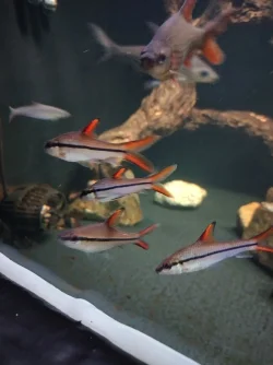 IMG_20220323_192634_HDR.webp