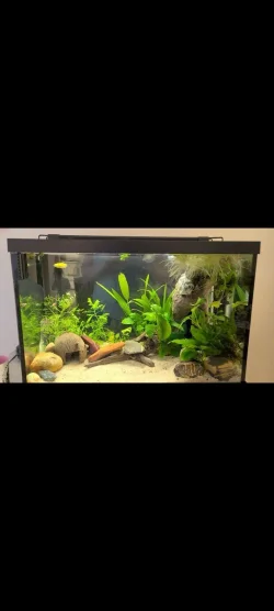 Screenshot_20230129_100625_Gallery.webp