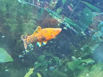 20230129_161848.webp
