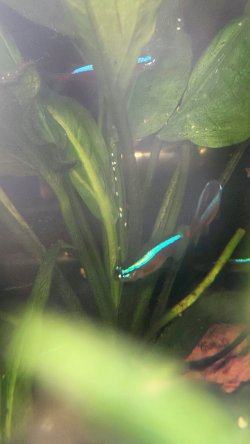 20230202_165244.jpg 20230202_165244.jpg