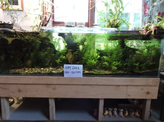 DSCN1401.webp