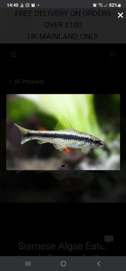 Screenshot_20230211_144006_Chrome.webp