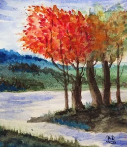 Trees.webp