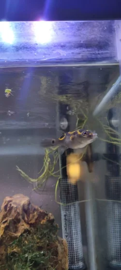 20230225_212725.webp