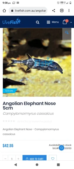 Screenshot_20230215-210822.webp
