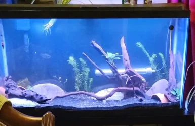 38Gallon_March2023.webp 38Gallon_March2023.webp