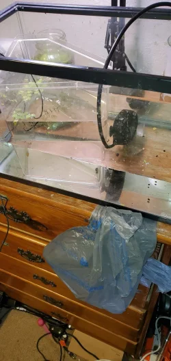 20230316_154809.webp